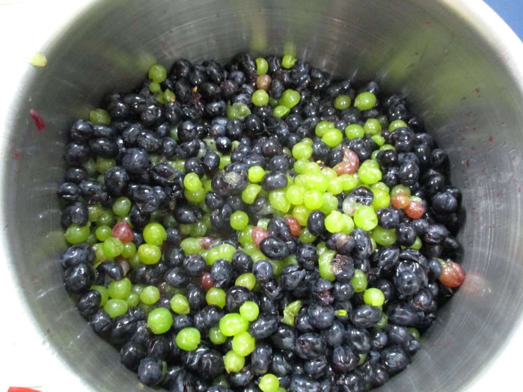 Comment faire un bon jus de raisin Ma passion du verger