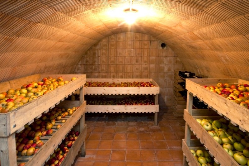Bonne cave pour la conservation des fruits en hiver -Gewoelbekeller-Obst-Gemuese-Lagerung