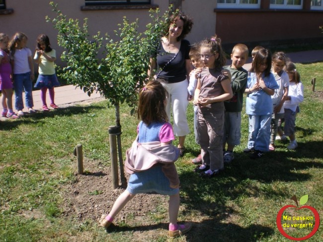 Plantation d'arbre fuitier à l'école de Rohrbach-les-Bitche- projet un arbre fruitier pour un élève- sensibilisation des élèves au verger école- plantation de fruitiers avec les élèves- Rohrbach-les-Bitche-