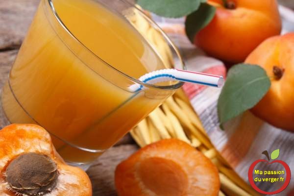 Nectar de pêches ou abricots ou nectarines-Faire un smoothie maison 