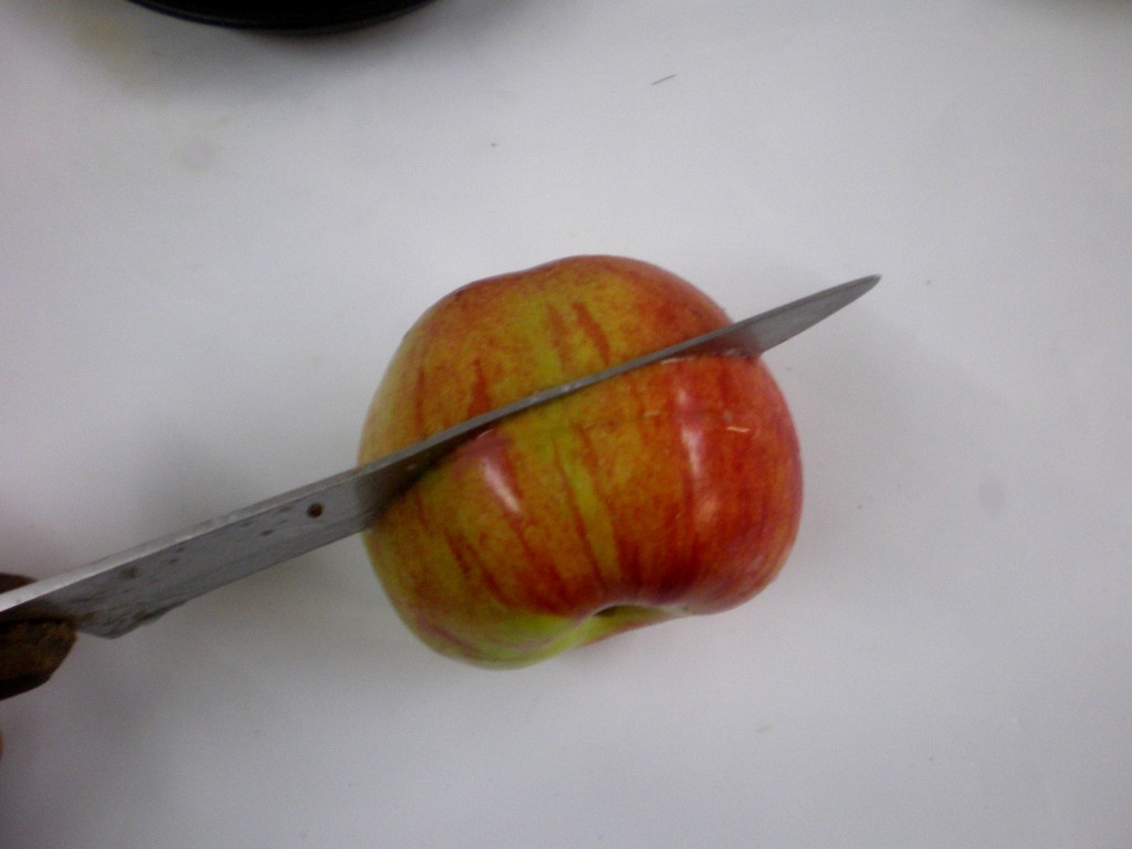 Quand récolter les pommes ? | Ma passion du verger