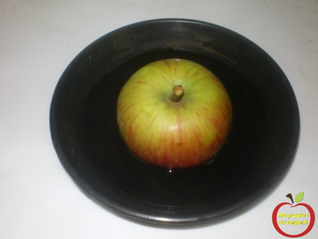 Plongez l’une des moitiés de la pomme, face coupée en dessous, dans la solution iodée pendant 11 secondes