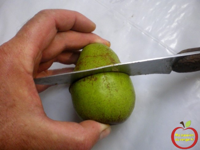 Coupez chaque poire en deux en utilisant un couteau bien aiguisé, de façon à obtenir une coupe transversale du cœur, pour faire le test à l'iode