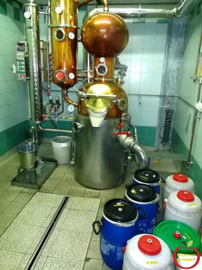 alambic moderne pour la distillation eau de vie de poire wiiliams en une passe