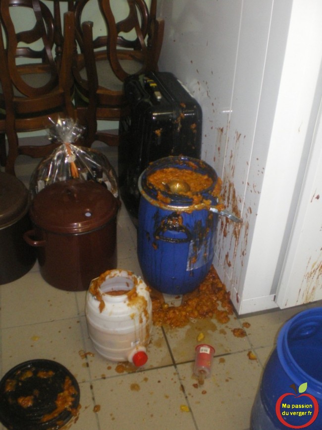 attention au remplissage des futs de fermentation pour ne pas deborder ou exploser mirabelles