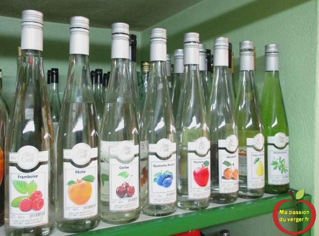 Stockage bouteilles eaux de vie - stockage bouteilles schnaps -stockage bouteilles - Stockage bouteilles goutte -Stockage bouteilles gnole