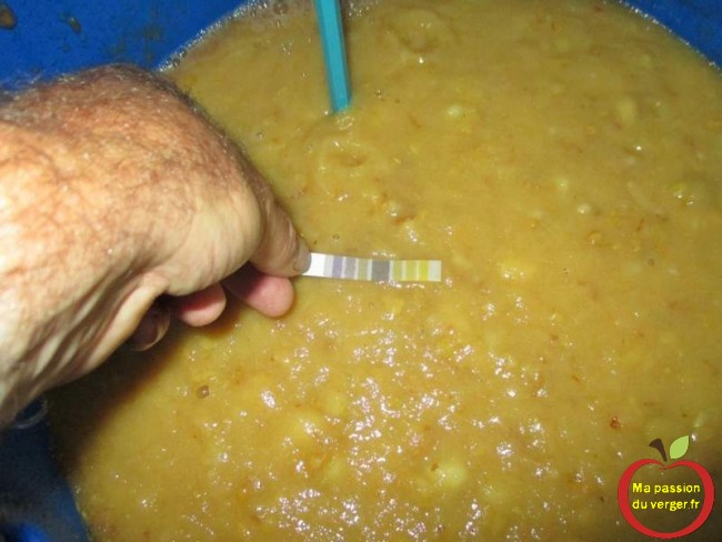 fermentation-controlee-eau-de-vie-williams mesurer le pH de votre mout de poire williams à l’aide de bandelette test. ma passion du verger