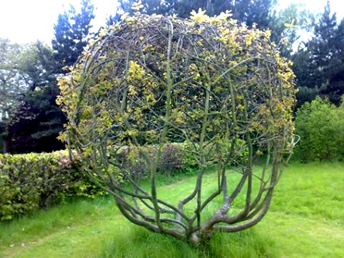 arbre original en balle-football