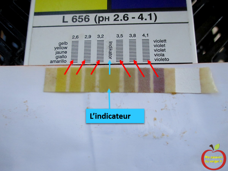indicateur de ph avec bandelette de test pour la distillation.