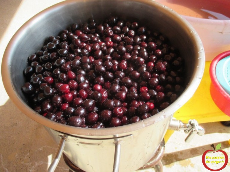 Faire du jus de cerise | Ma passion du verger