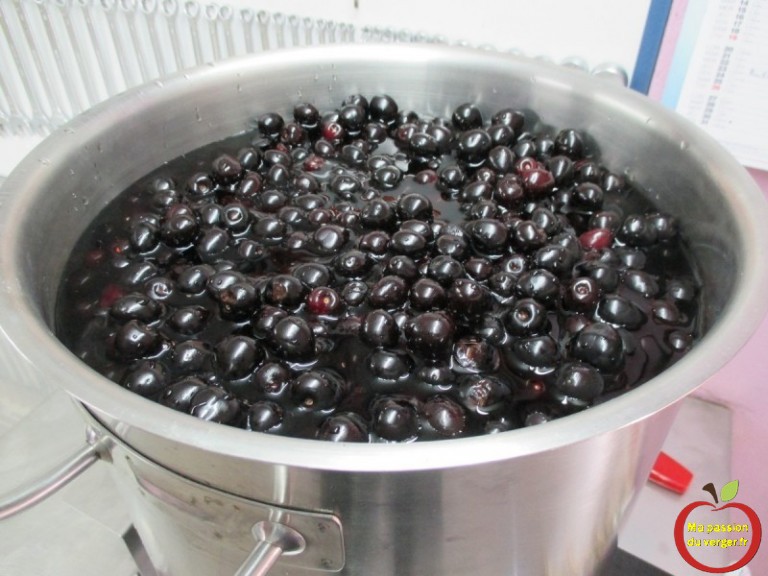 Faire du jus de cerise | Ma passion du verger