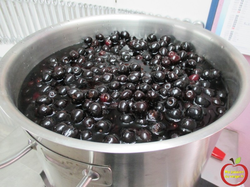 Faire du jus de cerise | Ma passion du verger