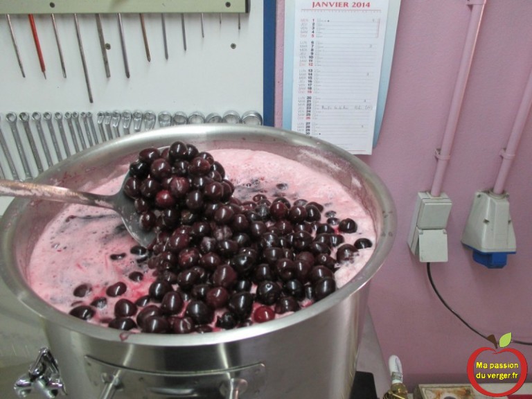 Faire du jus de cerise | Ma passion du verger