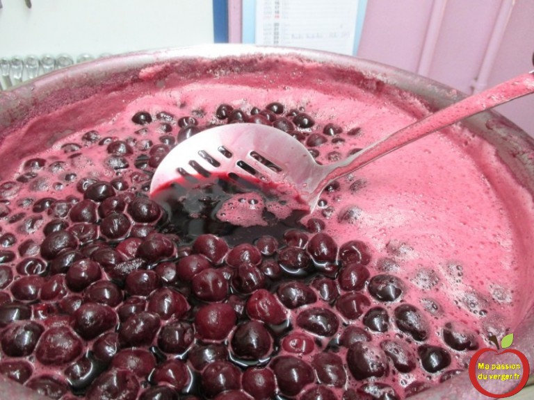Faire du jus de cerise | Ma passion du verger