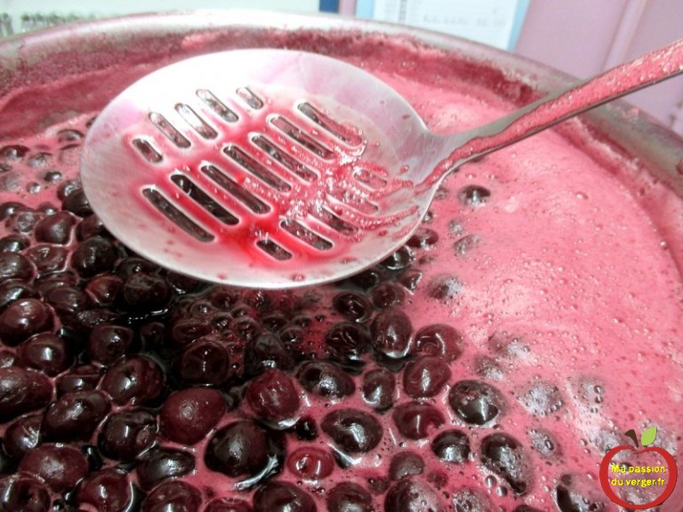 Faire du jus de cerise | Ma passion du verger