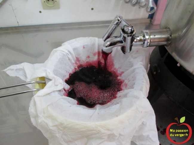 Filtrer le vin de raisin, pour enlever le reste de pulpe de raisin, dans le vin maison.