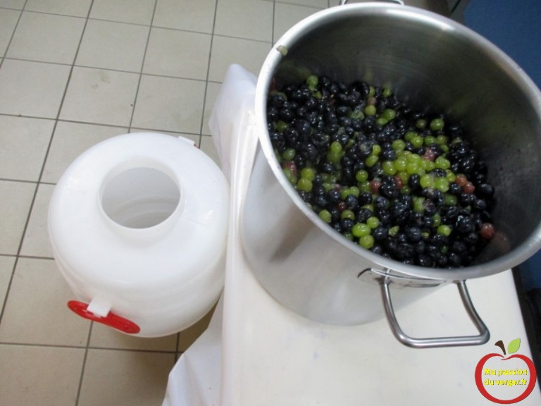 Comment faire un bon jus de raisin | Ma passion du verger