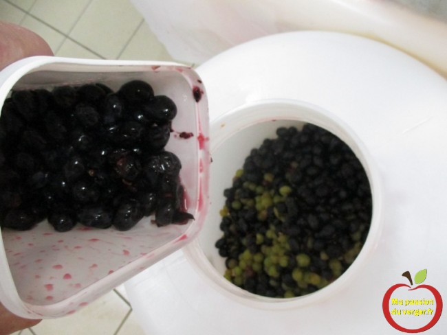 Pour améliorer le jus de raisin, je fais macérer le moût, pendant quelques jours, pour faire un beau vin rouge maison.