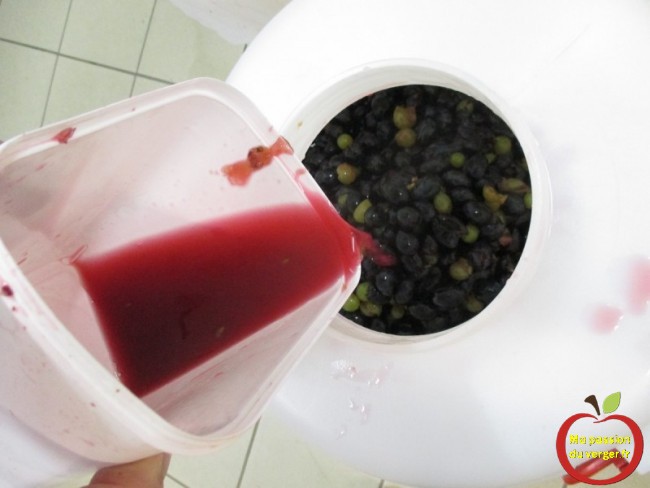 Comment faire un vin rouge naturel bio-Ainsi mon vin de raisin, gagne en fruité, en rondeur et en couleur, il suffit de le faire macérer en fût, pendant quelques jours.
