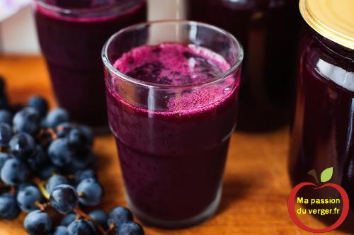 Comment faire un bon jus de raisin bio, pour votre santé. Traubensaft rot. Grape juice