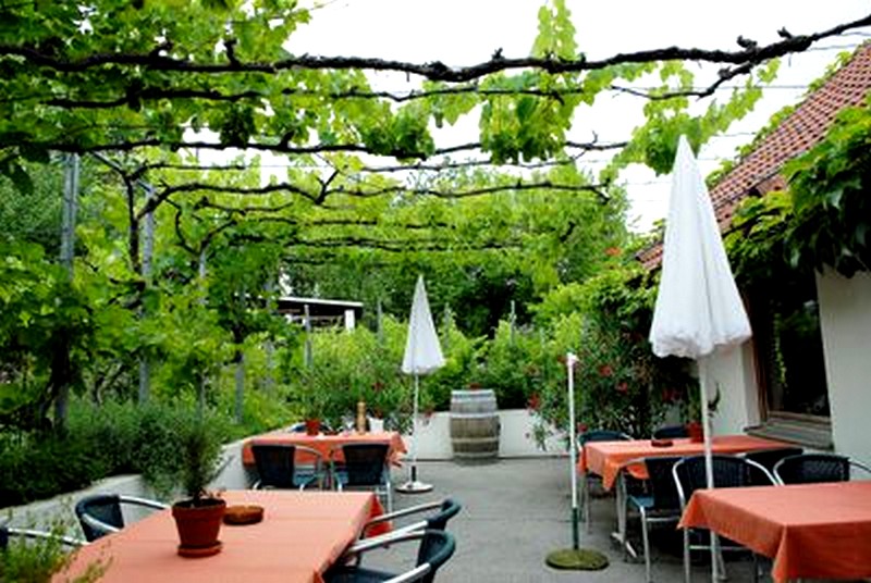 treille vigne sur fils pour terrasse restaurant 