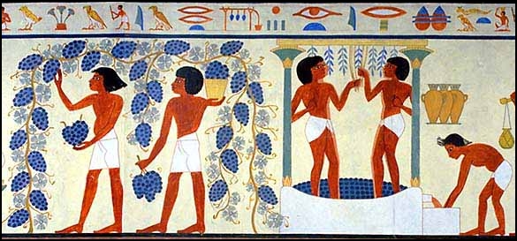 EGYPTIEN et l'histoire du vin