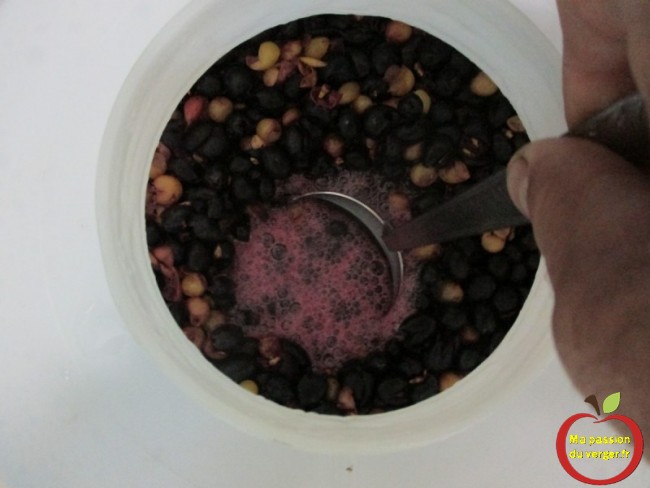 Le pigeage est une action de mélange du raisin dans le fût pour une amélioration de sa macération du vin maison.