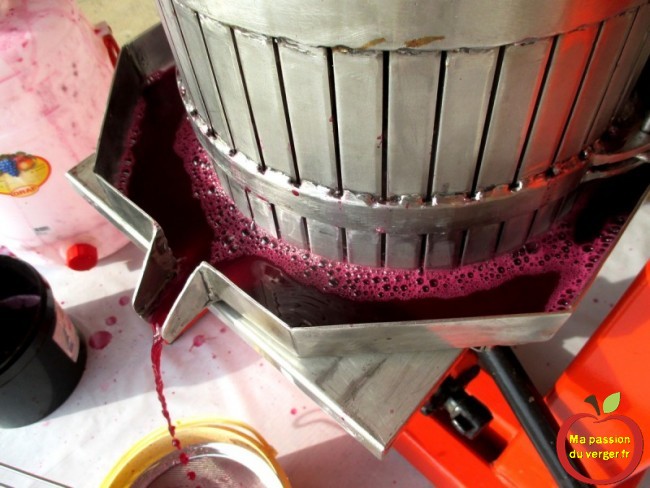 Comment réaliser un bon vin bio rouge ou blanc soi-même- pressurage du raisin après macération du vin. - regrevudnoissapamegres