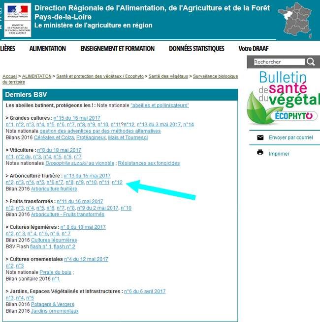 Bulletin de santé des végétaux de toute la France - Bulletin de santé végétal région par région -