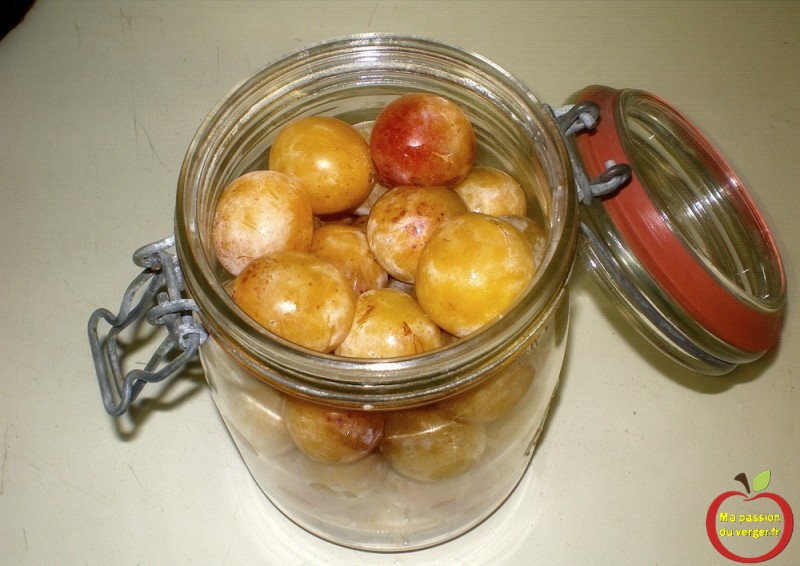 Faire une liqueur de mirabelle | Ma passion du verger