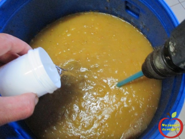 Préparation du moût de pomme, pour la fermentation-alcool de pomme -schnapps de pomme bio
