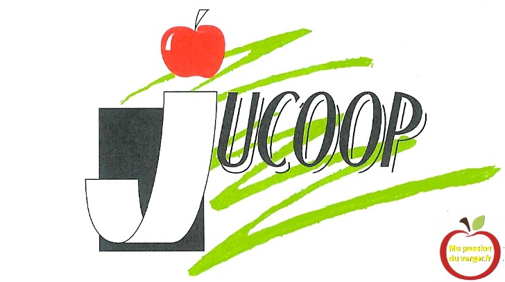 jucoop - coopérative Jucoop