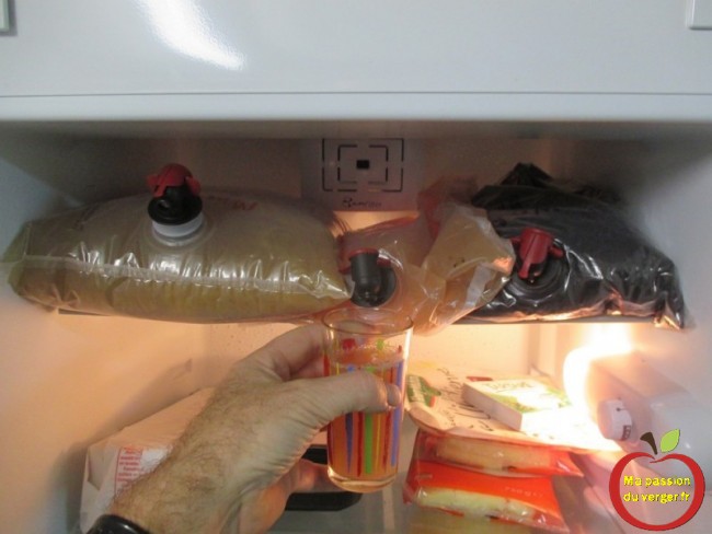 Stockage des poches au réfrigérateur en été. Je fais un mélange multifruits ou nature selon mon envie-Faire un smoothie maison 