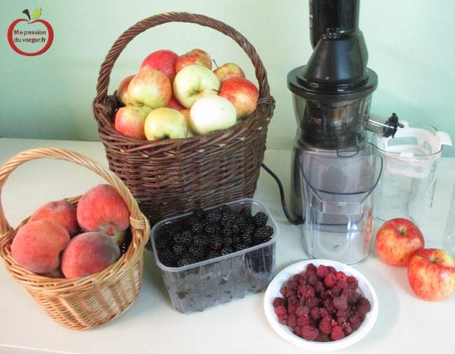 Jus de fruits de verger frais -Comment faire un bon jus de fruits maison- faire un jus de fruit frais- presser des fruits avec un extracteur- réaliser un bon jus de fruits et légumes- le meilleur jus des fruits frais- 