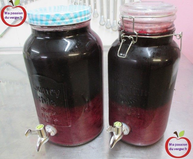 Faire du jus de raisin frais- faire du jus de raisin dans l'extracteur de jus-faire du jus de raisin- jus de raisin bio- jus de raisin maison- jus de raisin rouge-jus de raisin blanc- jus de raisin bio et naturel- comment faire un bon jus de raisin frais
