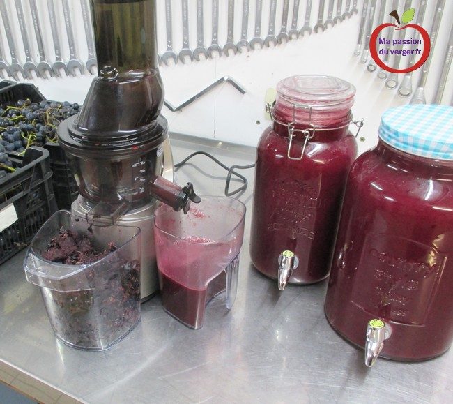 Faire du jus de raisin frais- faire du jus de raisin dans l'extracteur de jus-faire du jus de raisin- jus de raisin bio- jus de raisin maison- jus de raisin rouge-jus de raisin blanc- jus de raisin bio et naturel- comment faire un bon jus de raisin frais