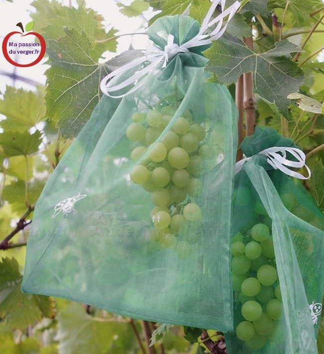 Lot de 100 sachets de protection pour raisins 30 x 20 cm avec cordon de serrage pour protéger contre la guêpes le vinaigre de cerise et autres insectes les oiseaux