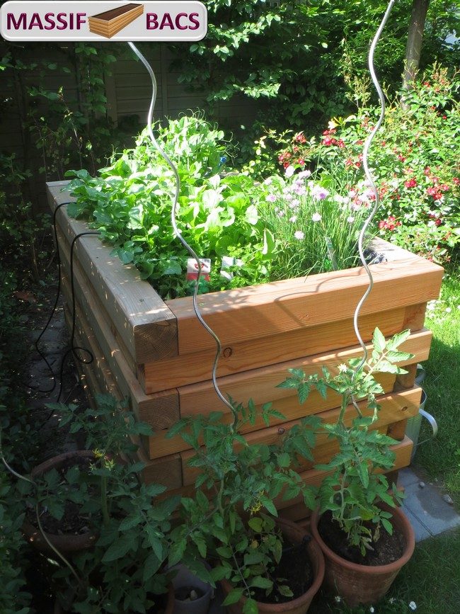 Potager Végétable - Bac Potager en Bois Massif - 60x30x34cm - Jardinière  Extérieur pour Jardin Terrasse