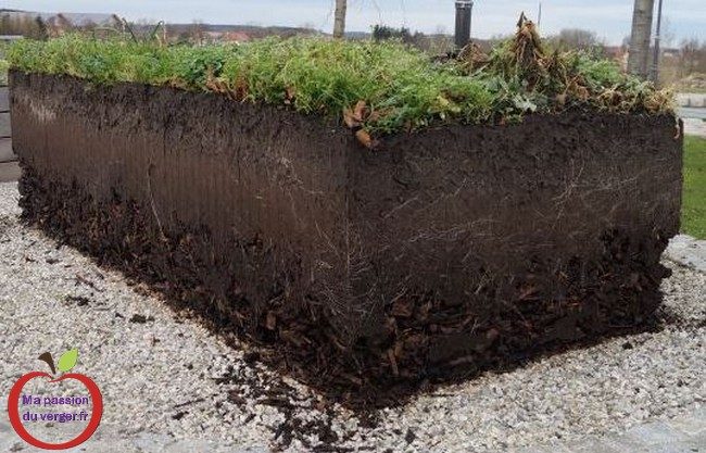 Terre pour un bac potager- améliorer la terre d'un bac potager- compost pour un bac potager massifbacs- le remplissage d'un bacs potager surélevé. 