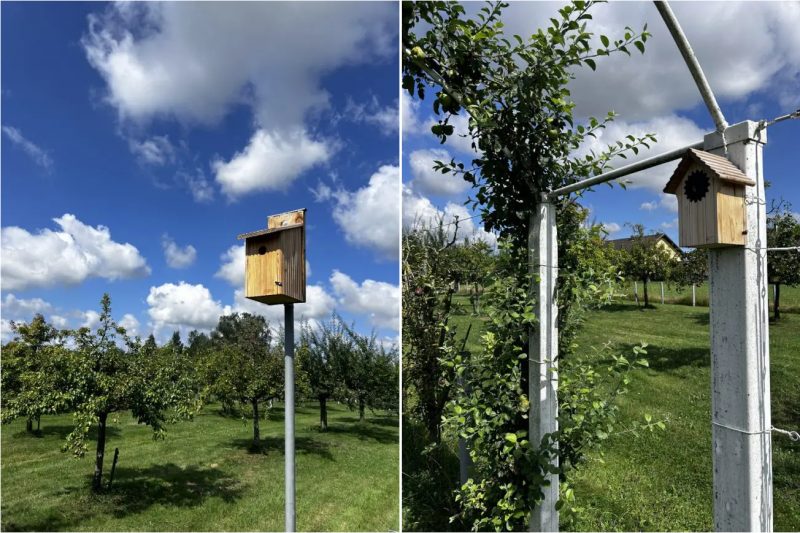 Les nouveaux nichoirs sont installés et attendent leurs nouveaux locataires.